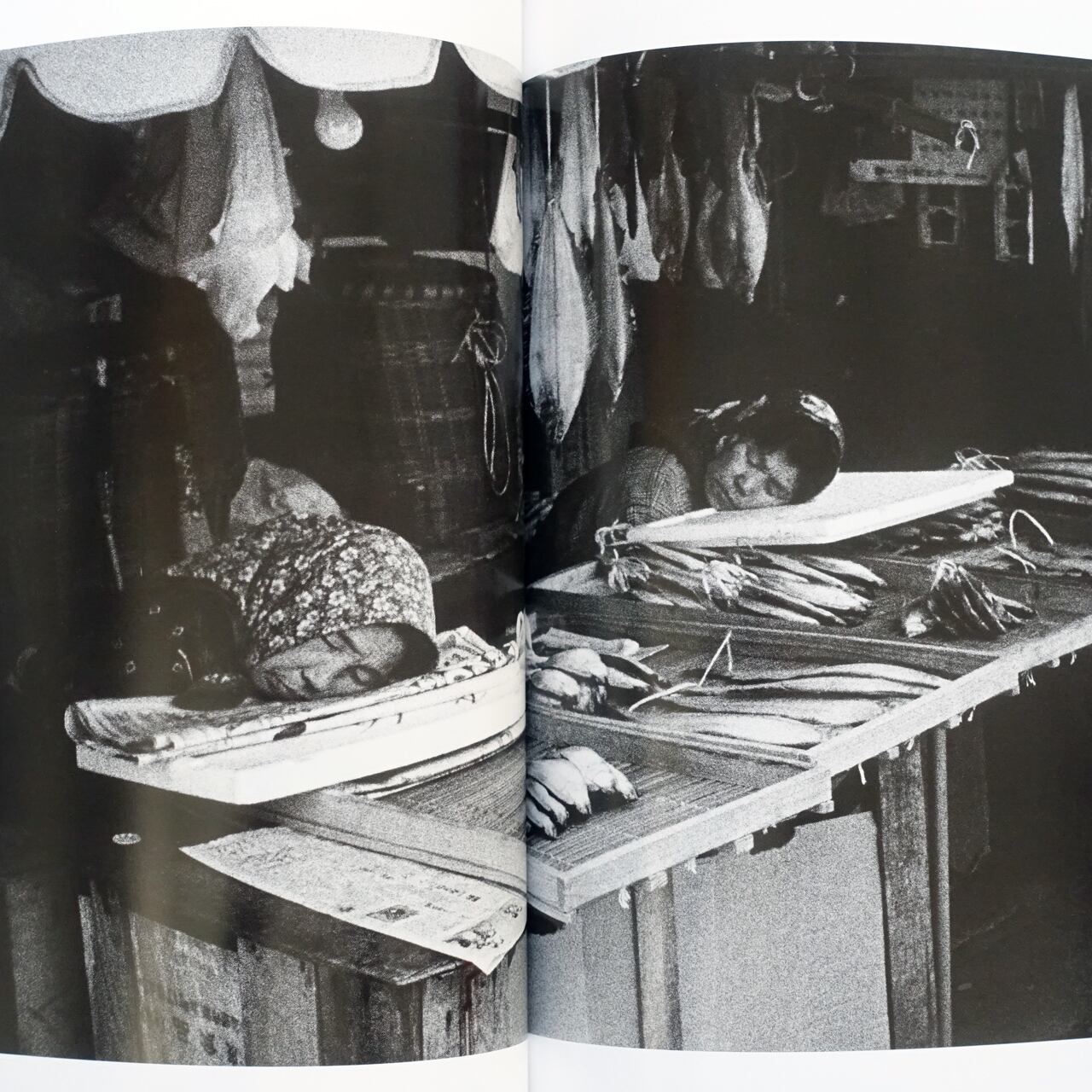 北点 North Point 中居裕恭 Hiroyasu Nakai | タイムカプセル