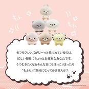 明色化粧品 モフモフレンズ オールインワン美容液ジェル 50g (日本製)