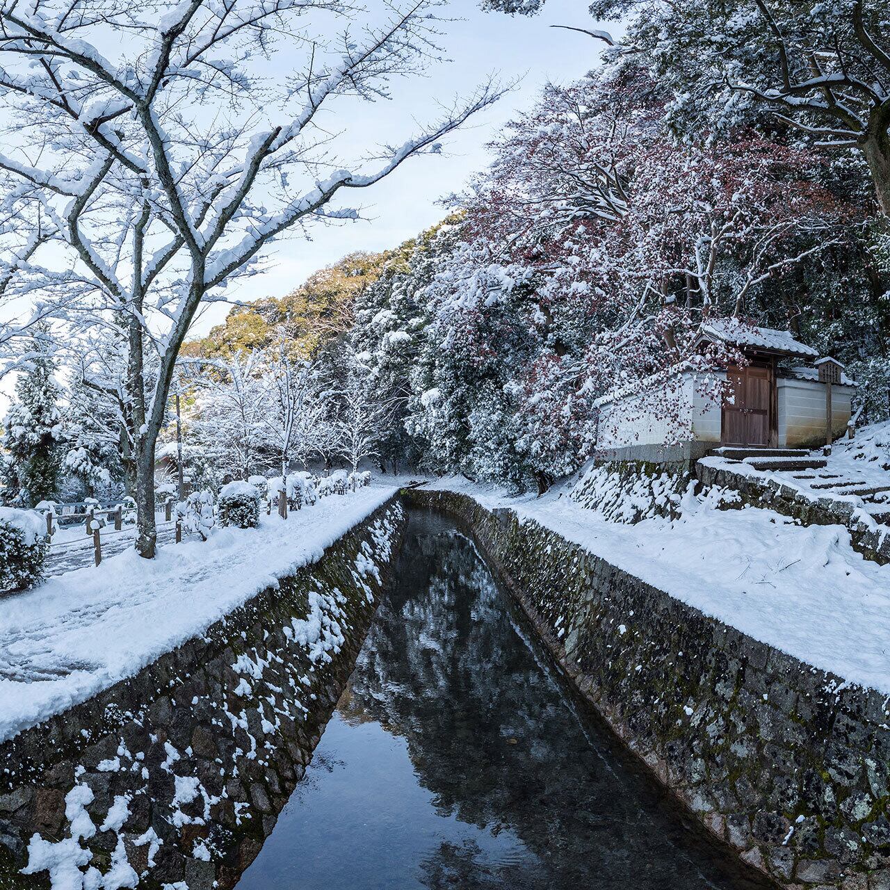 哲学の道の雪景色