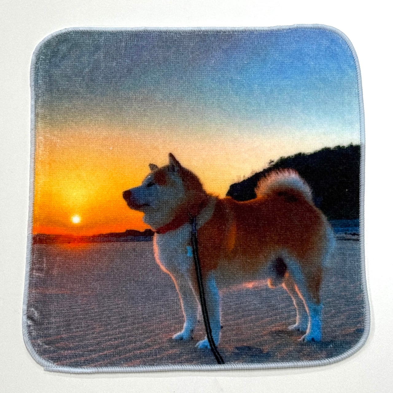 ハンカチ32「 夕日を背景にかっこいいシルエットで肉球をかいかいする