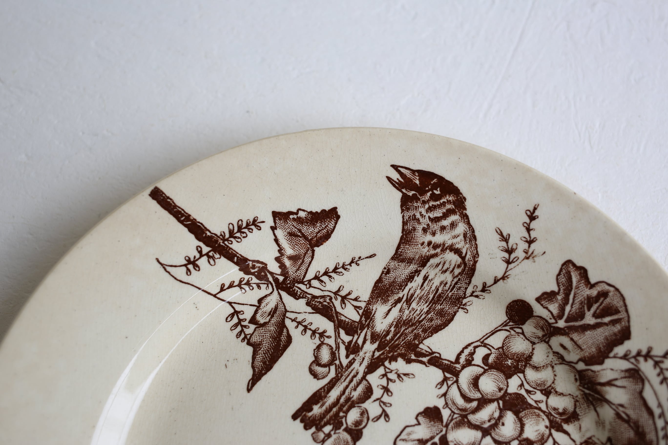 フランスアンティーク ショワジールロワ 大皿 小鳥と木の実 ブラウン