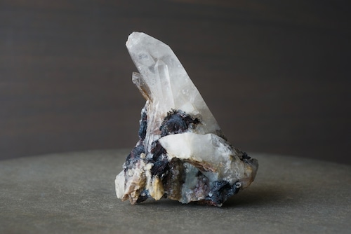 アイアンローズ/クォーツ Iron Rose/Quartz 1911