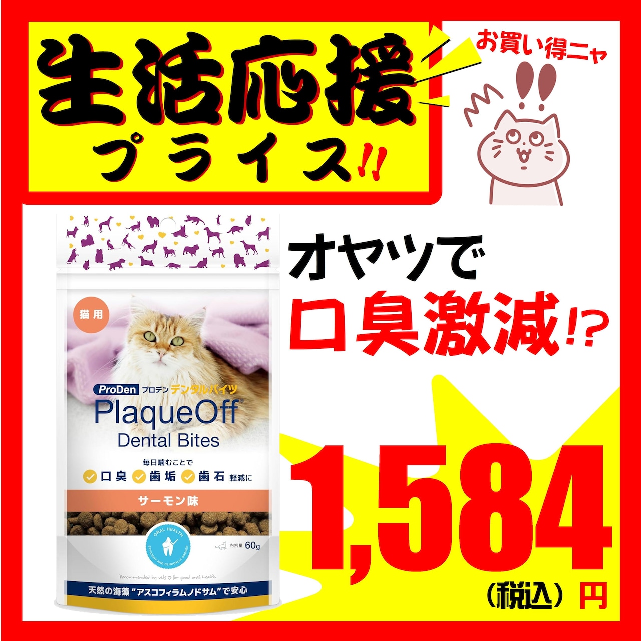 ※訳アリ商品【口臭ケアの強い味方(サーモン味)】プロデン デンタルバイツ,60g,毎日のおやつで良い口内環境に!ネコポス対応!(全国330円)