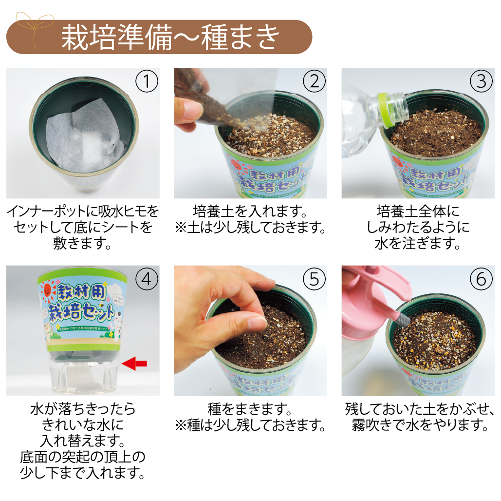 教材用栽培セット ラディッシュ | topman