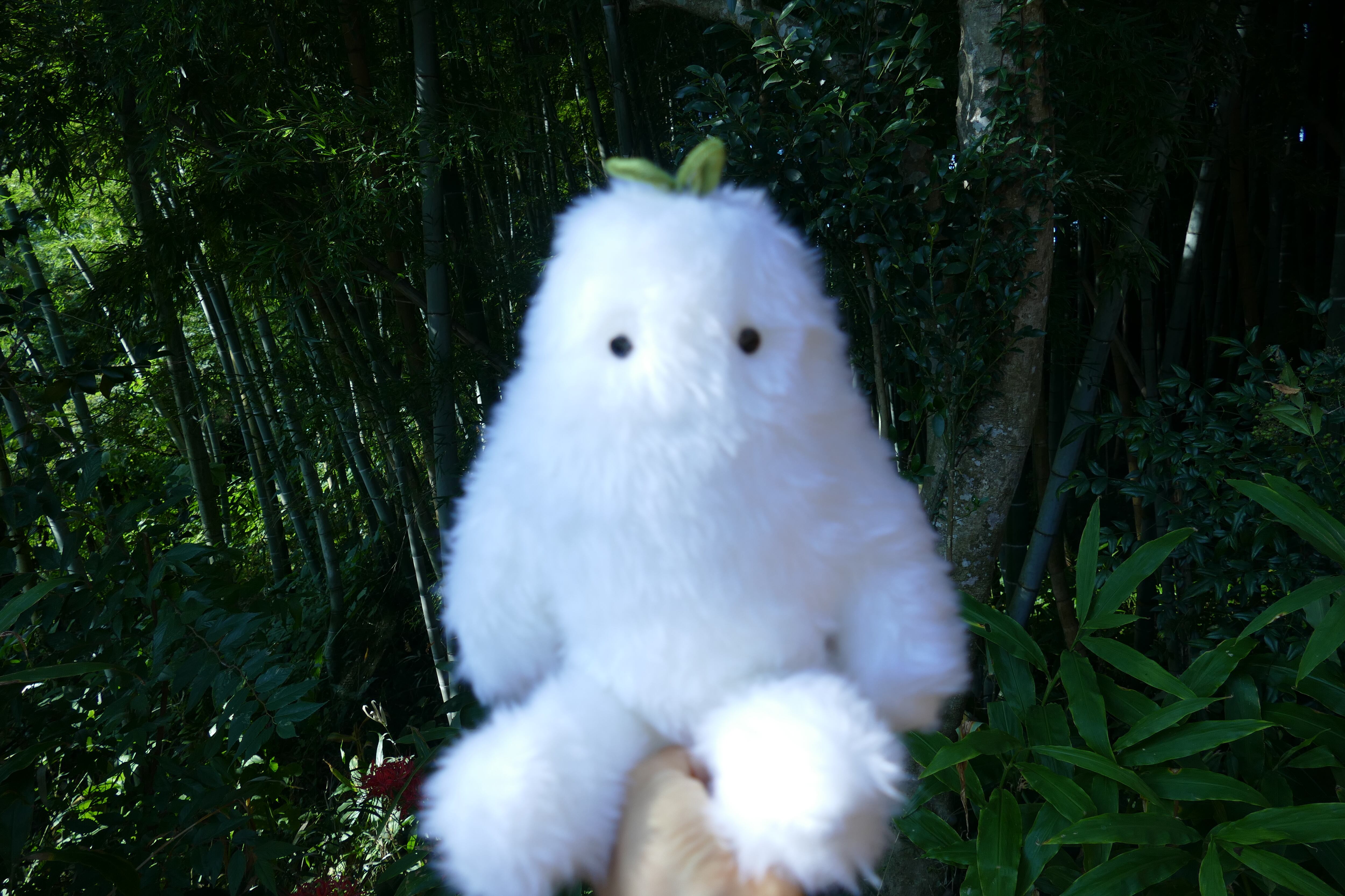 ぬいぐるみ 森の妖精 もけもけ 大もけ | hanaco