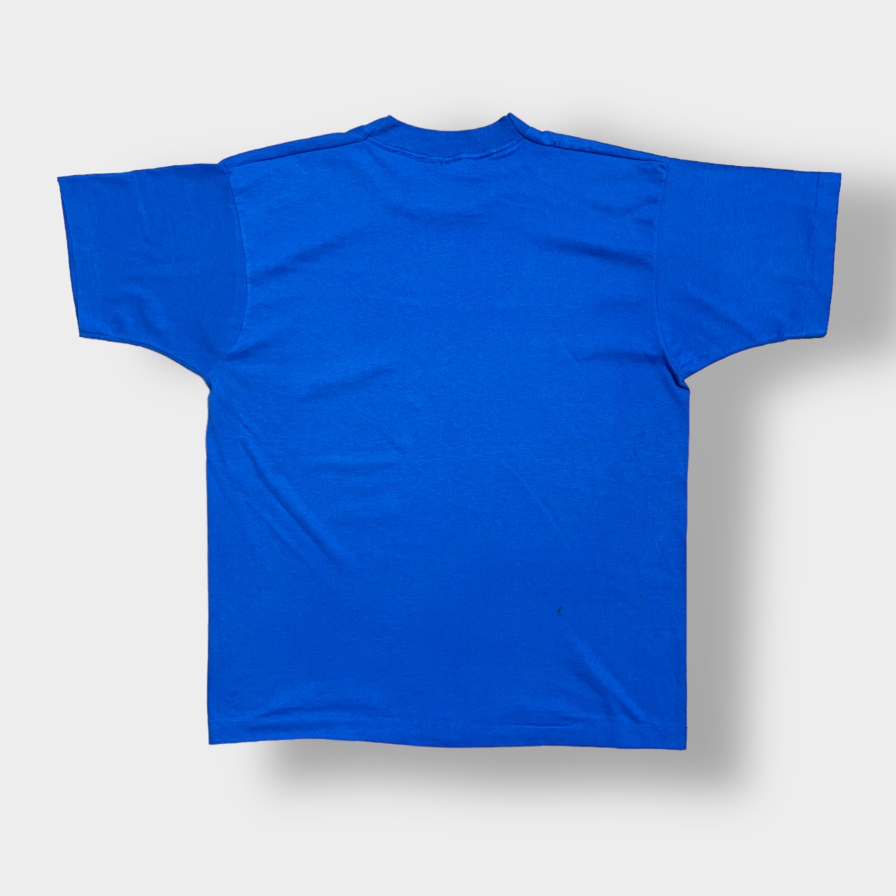 【SCREEN STARS】90s USA製 プリント Tシャツ シングルステッチ XL ビッグサイズ ヴィンテージ スクリーンスターズ US古着