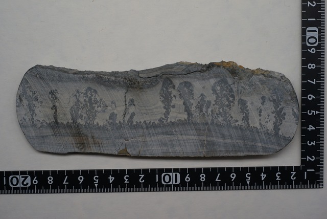 コタム・マーブル　Bristol Picture Stone ①