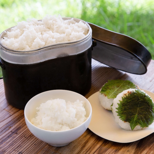 ＜5%OFFでお得!!＞定期便「大地の米」10㎏×6回/Regular delivery 「Daichi no Rice」 10kg x 6 times