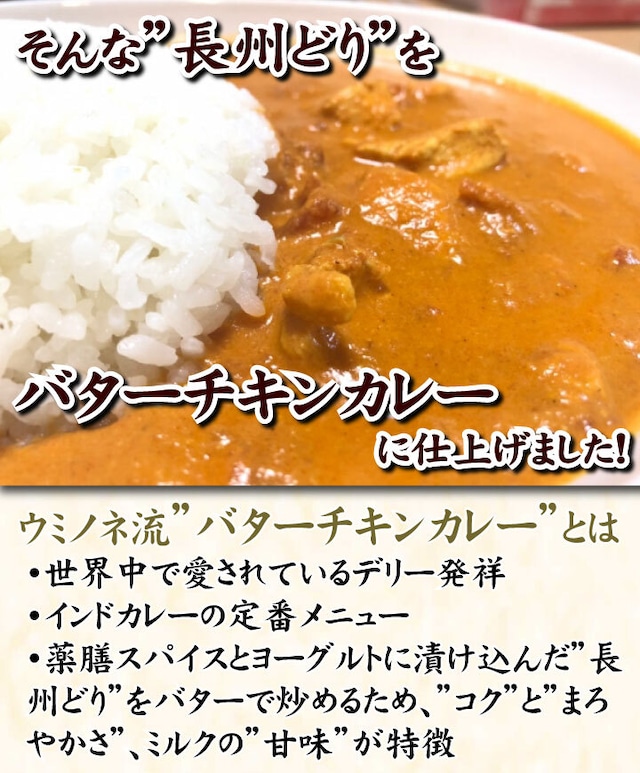 長州鶏肉バターチキンカレー1食 長州鶏