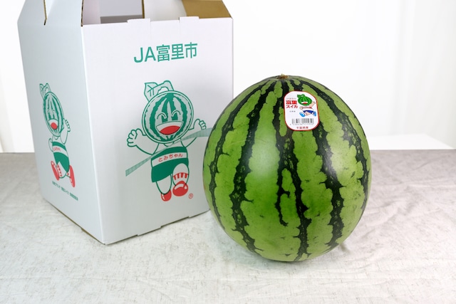 富里秋スイカ 1玉 (2Lサイズ)