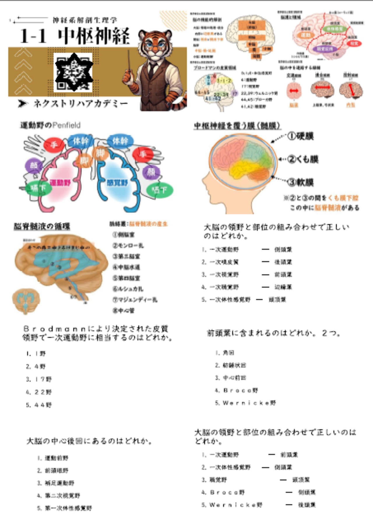 共通国試編（動画教材＋冊子販売） | ネクストリハアカデミー（理学
