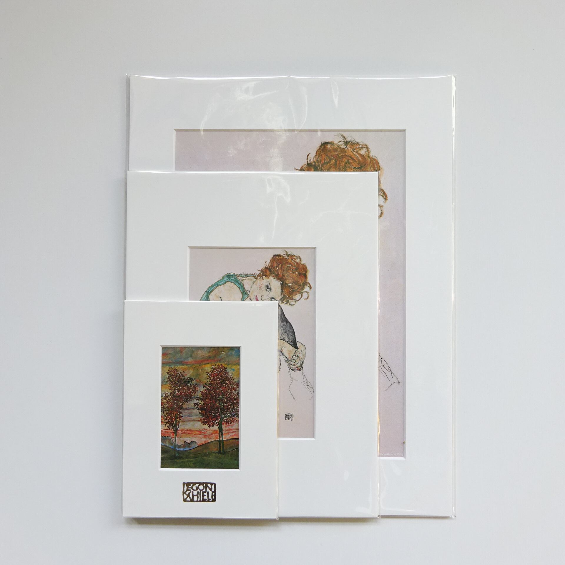 パスパルトゥー大 エゴンシーレ Egon Schiele 複製画 973 | paperstory