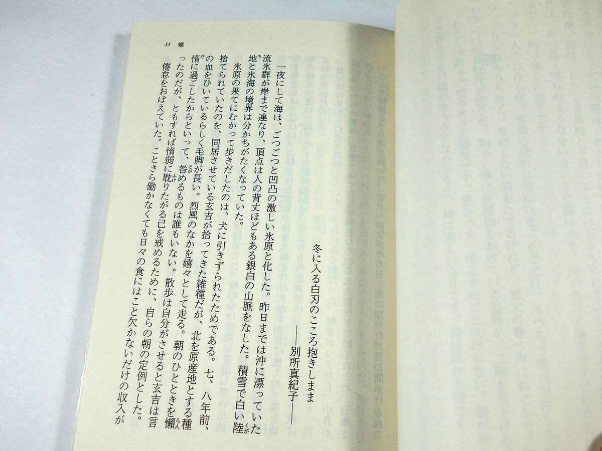 蝶（皆川博子 著） | bookstore ナルダ