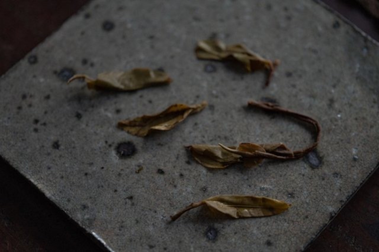 唐望の茶『雲在』 困鹿山古樹生プーアル茶 Pu'er tea 200g