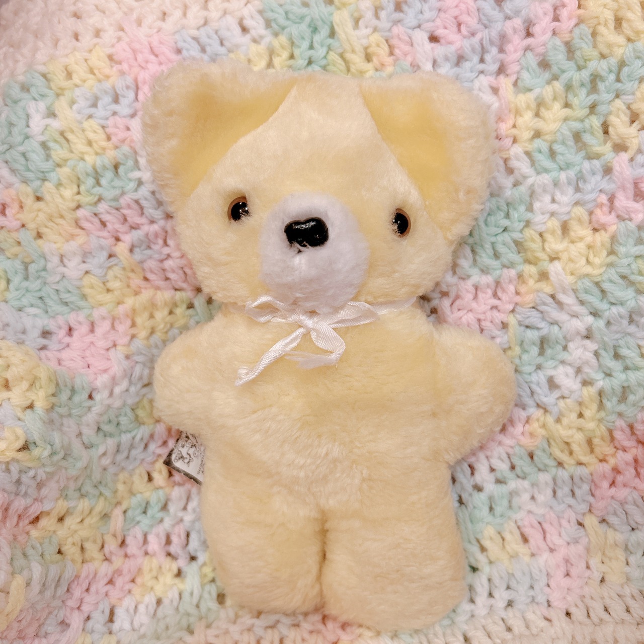 yellow bearの画像01