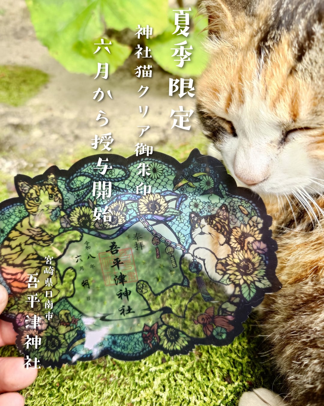 夏季限定 神社猫クリア御朱印 | 吾平津神社BASE授与所