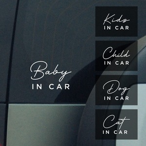 In Car Stickers Type A