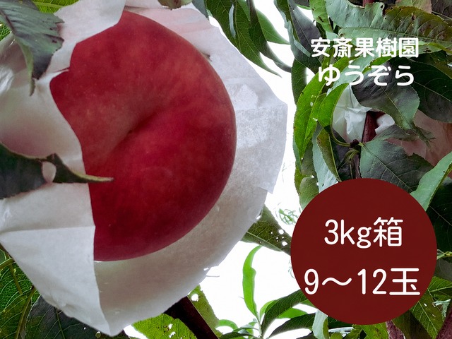もも【ゆうぞら】3kg箱 9～12玉