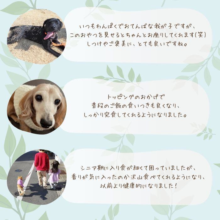 犬 ジャーキーセット 20g×2袋 | しっぽとまなざし｜国産無添加ペットフード