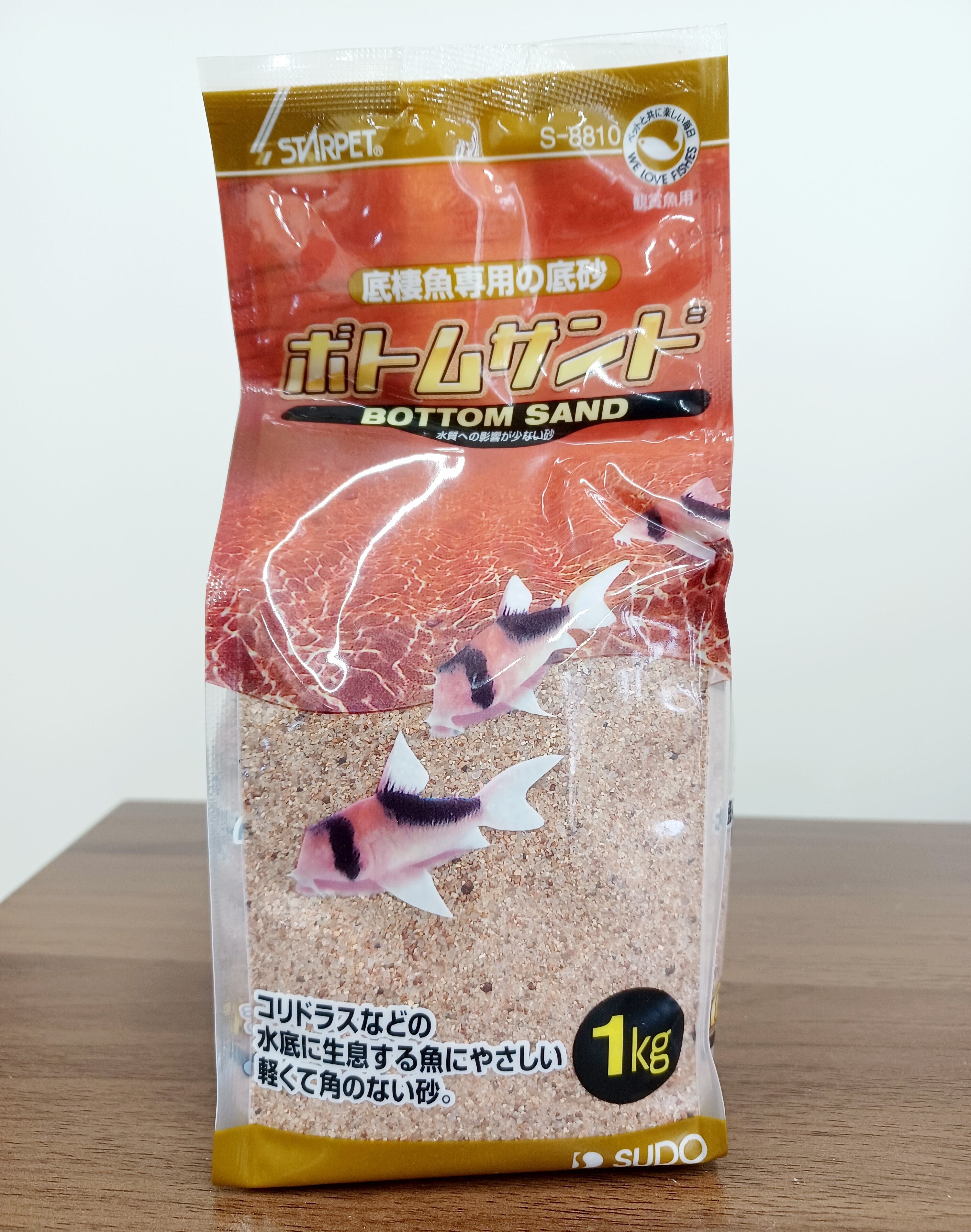 サンゴ石 M | オカヤドカリショップ BiTa
