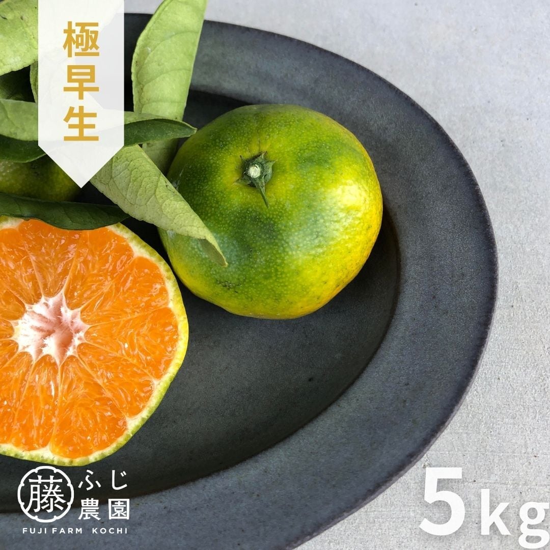 宮古島産 極上の逸品 完熟 アップルマンゴー2kg （4～5玉）15度以上
