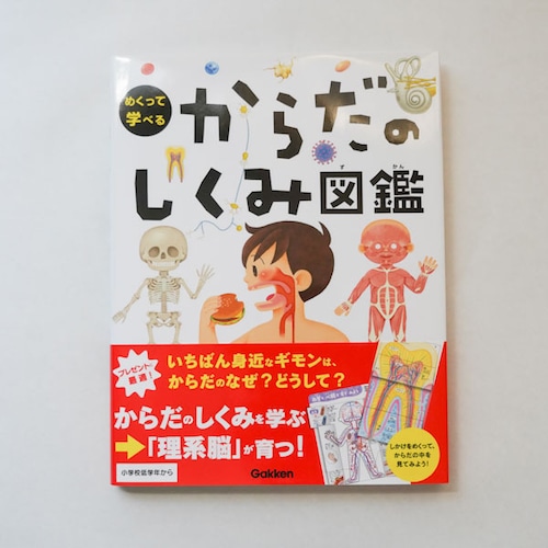 めくって学べる　からだのしくみ図鑑