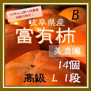 送料無料【贈答用】Ｌサイズ　1段14個　岐阜県産富有柿