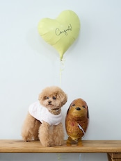 おさんぽバルーン トナカイ