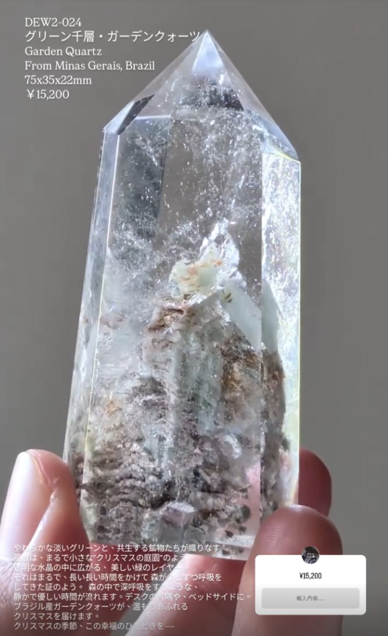 ⭔ お客様専用ページ ⭔ hanako_3.0  様　