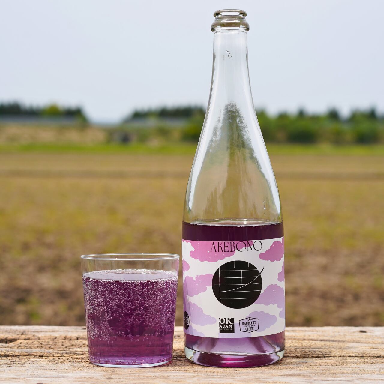 数量限定商品>【春はあけぼの、新たなはじまり。】OK,ADAM AKEBONO