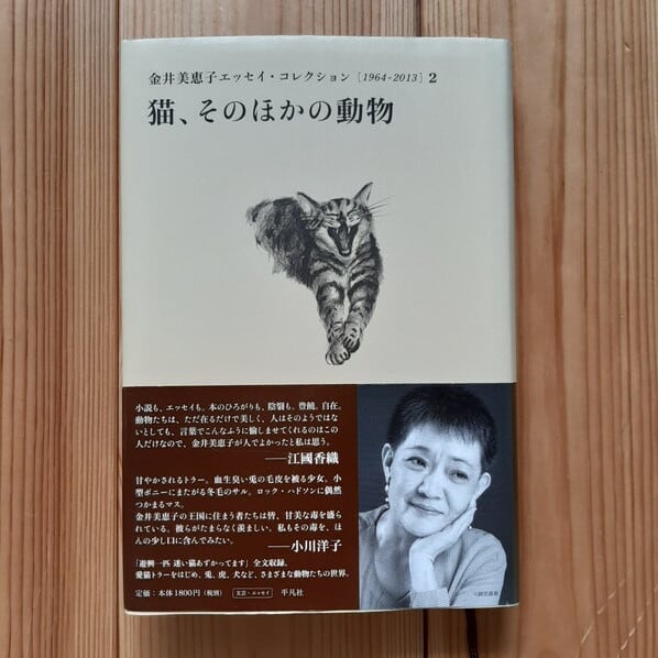 金井美恵子中公文庫2冊セットです。 金井美恵子中公文庫2冊セットです。
