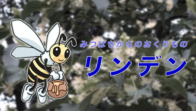 追加オーダー分　Ｉ様専用ページ