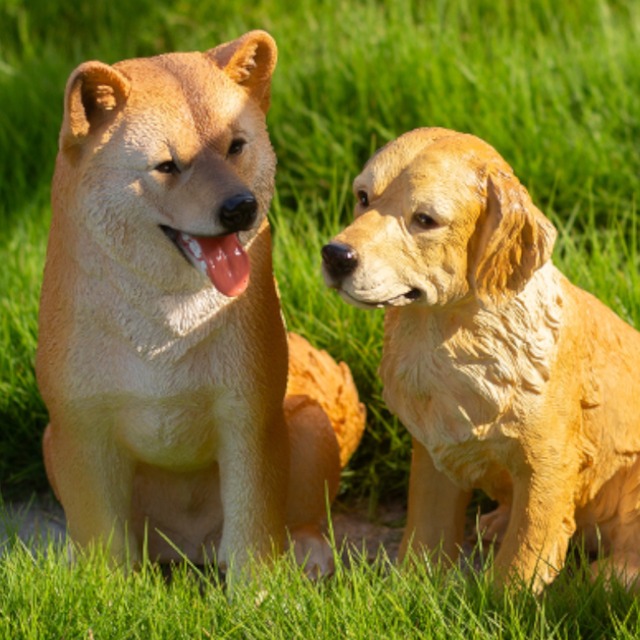 可愛い柴犬とゴールデンレトリバーの置物 Y00276