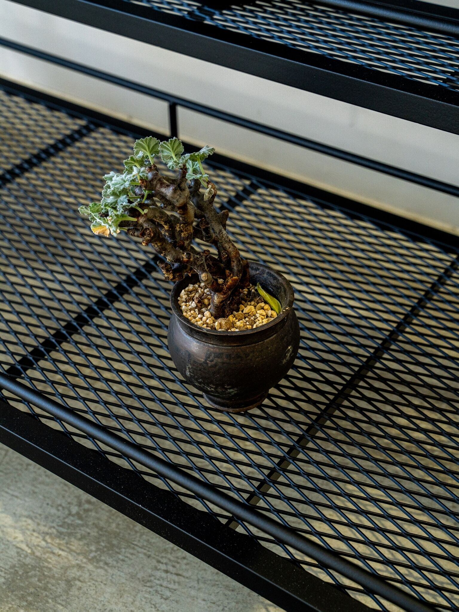セミオーダー植物棚（ダクトレール付） | limironcraft