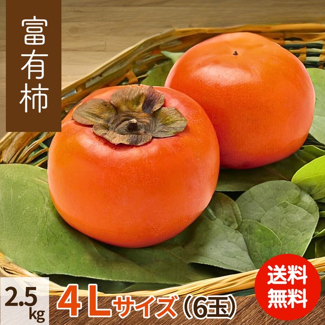 【2025年産】【11月下旬発送】富有柿 4L 6玉（2.5ｋｇ）