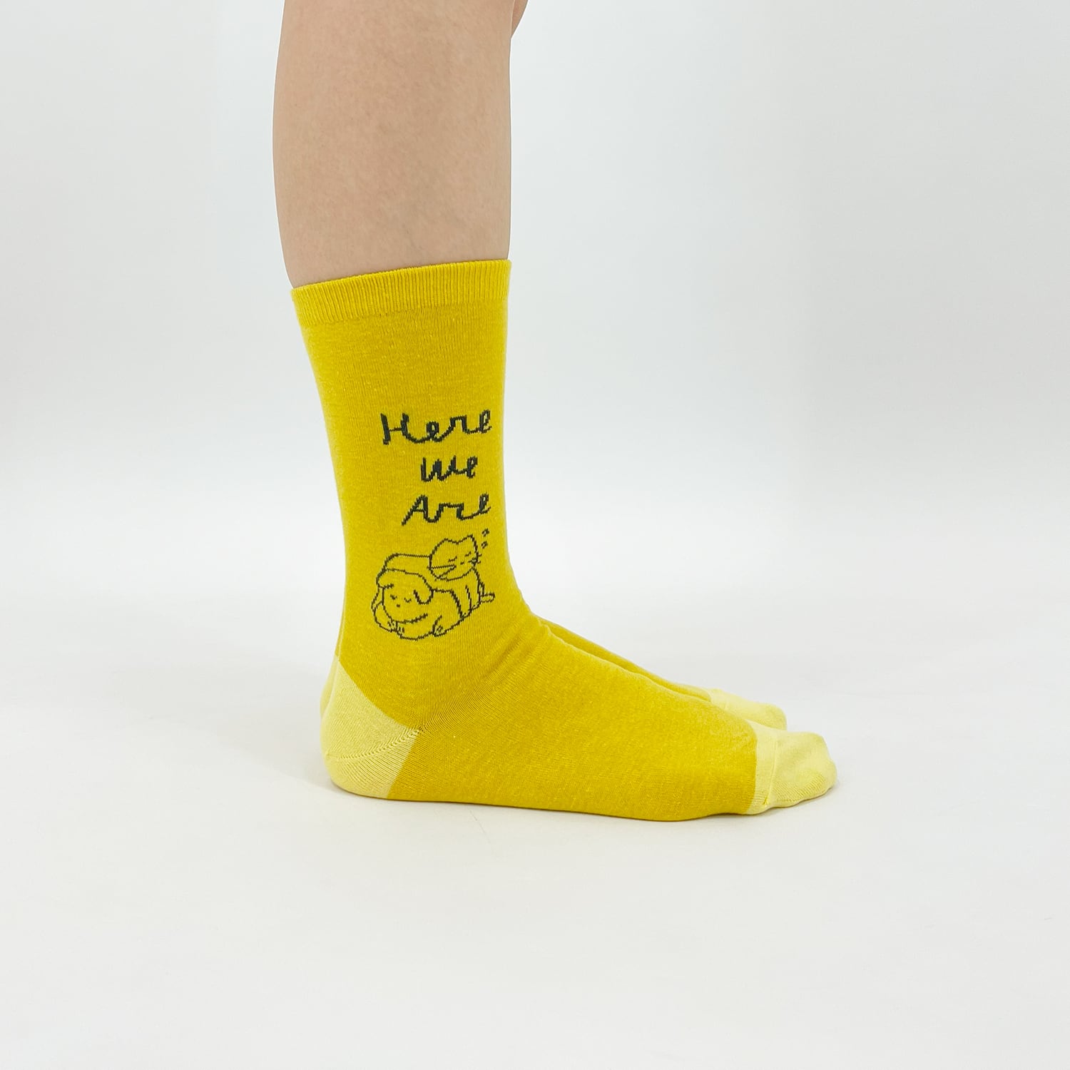 Junichi Koka】江夏潤一 Here We Are I'm Here SOCKS ソックス | bpbp