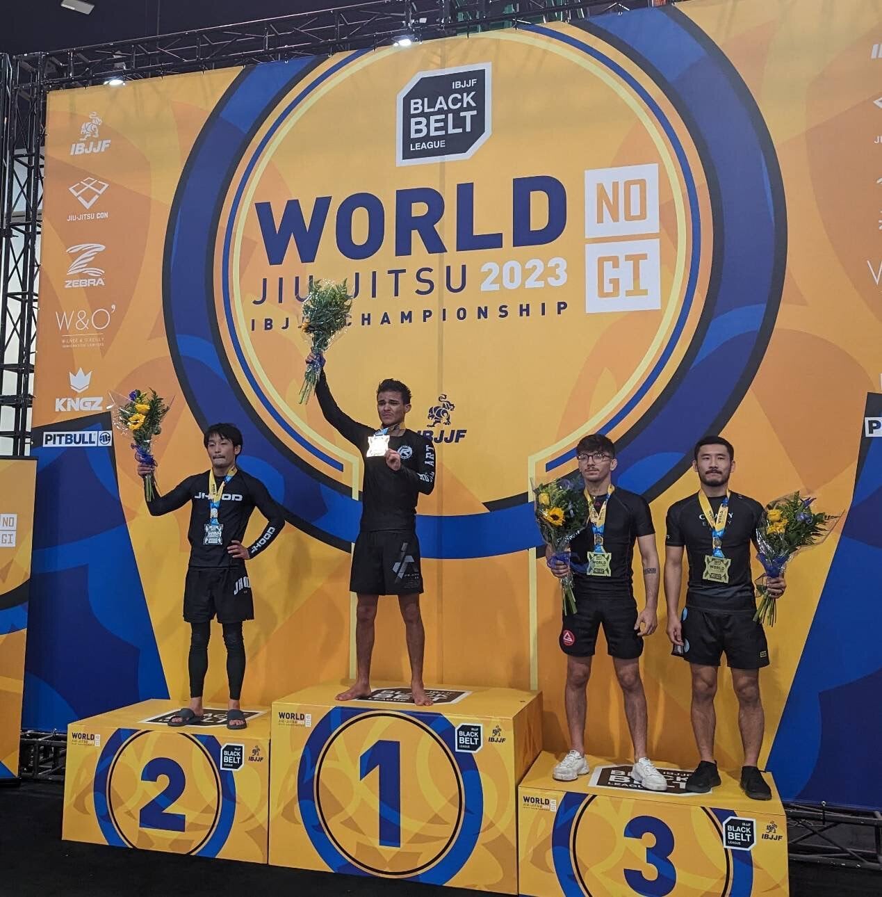 吉永力 ニーツイスト＆リバースハーフガードシステム 動画版（vimeo版