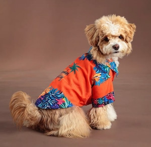 【nalu_select】Summer Holiday トロピカルシャツ(orange)