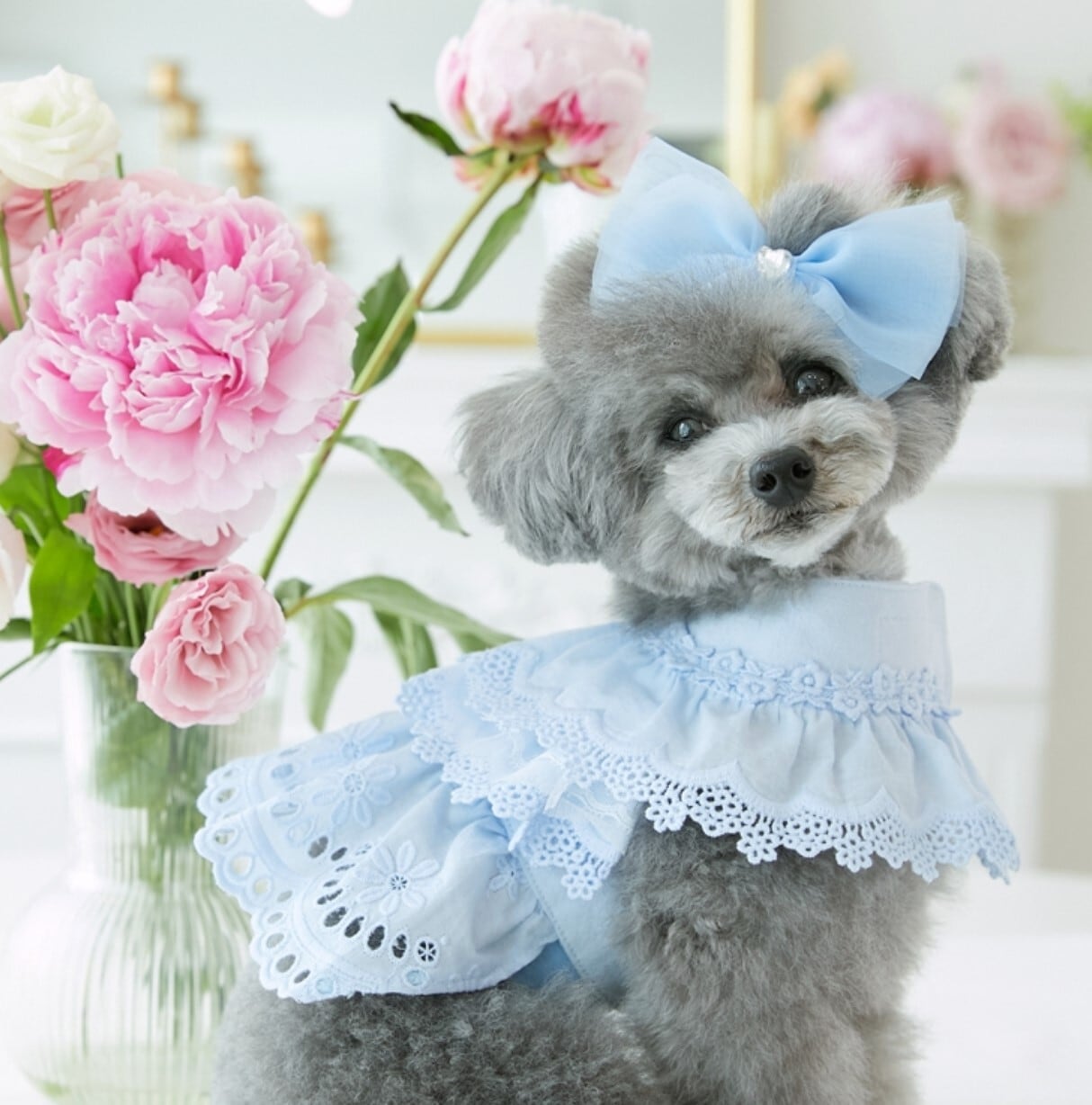 予約【iloilo】Camellia Harness《Blue》