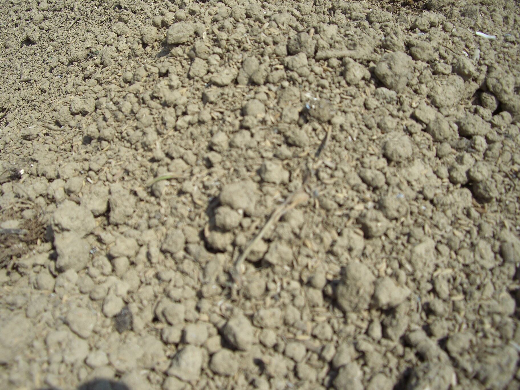 竹パウダー：発酵熟成竹・土壌改良剤・家庭菜園：20ℓ | 竹の粉