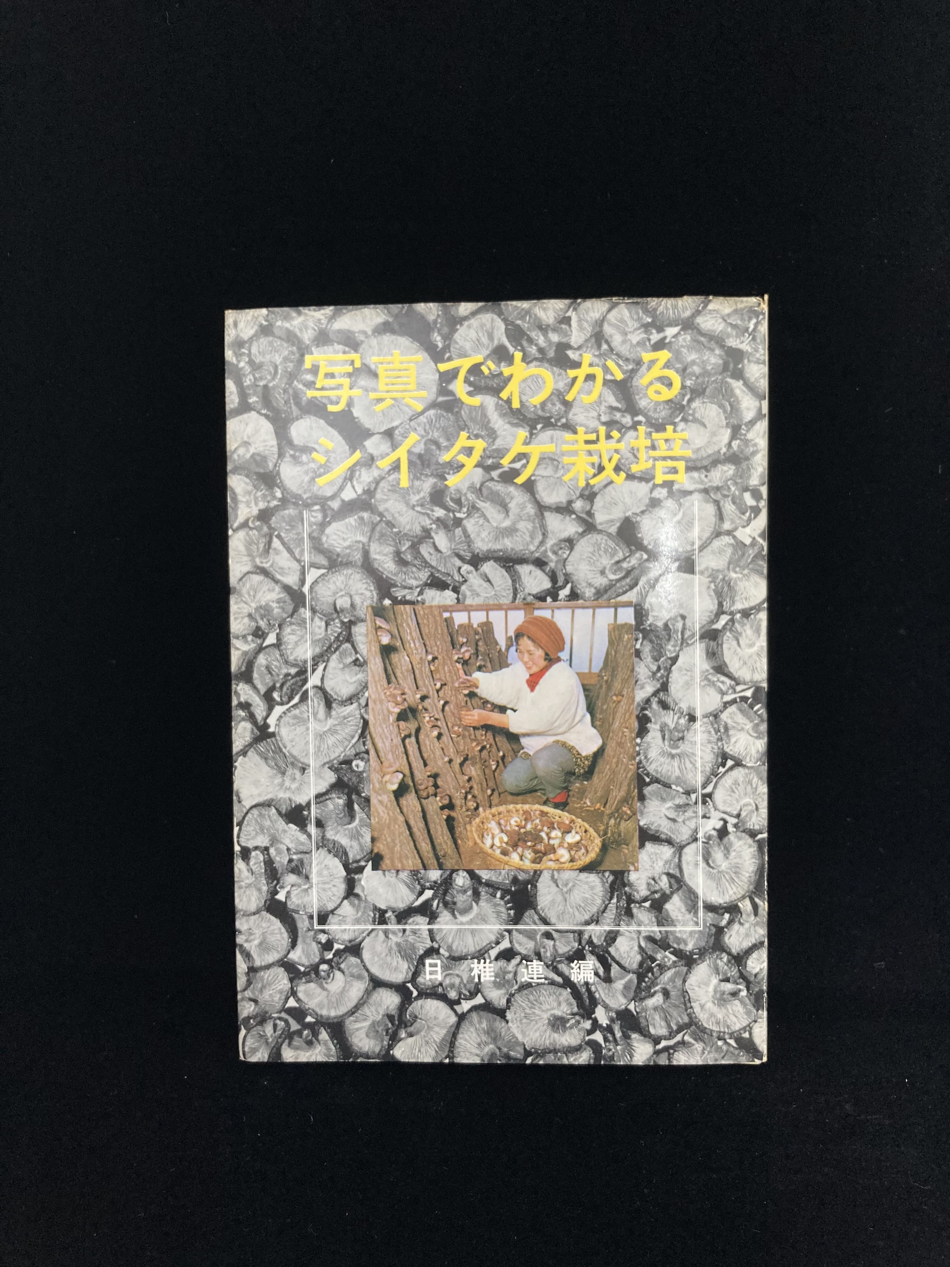 私のアメリカ 家庭料理 | 皿書店 長嶋亜希子 著／私のアメリカ 家庭料理