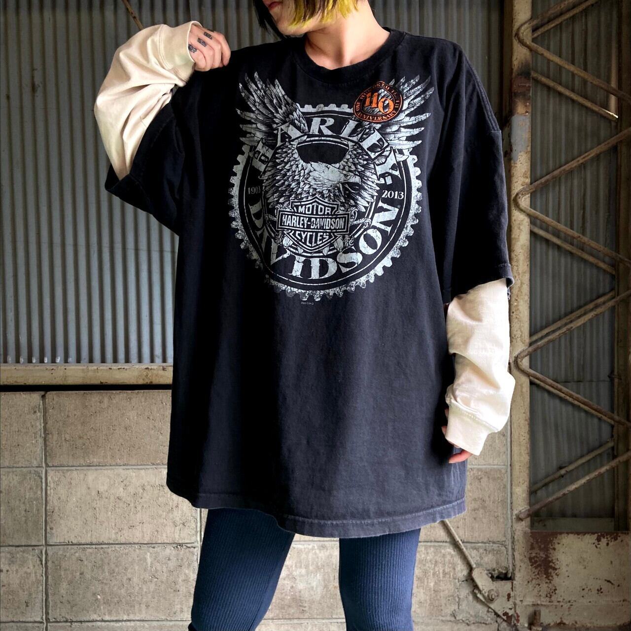 ビッグサイズ Harley-Davidson ハーレーダビッドソン 110周年 フロントロゴ バックプリント Tシャツ メンズXXXL 古着  モーターサイクル バイクTシャツ 両面プリント 大きいサイズ ブラック 黒【Tシャツ】 | cave 古着屋【公式】古着通販サイト