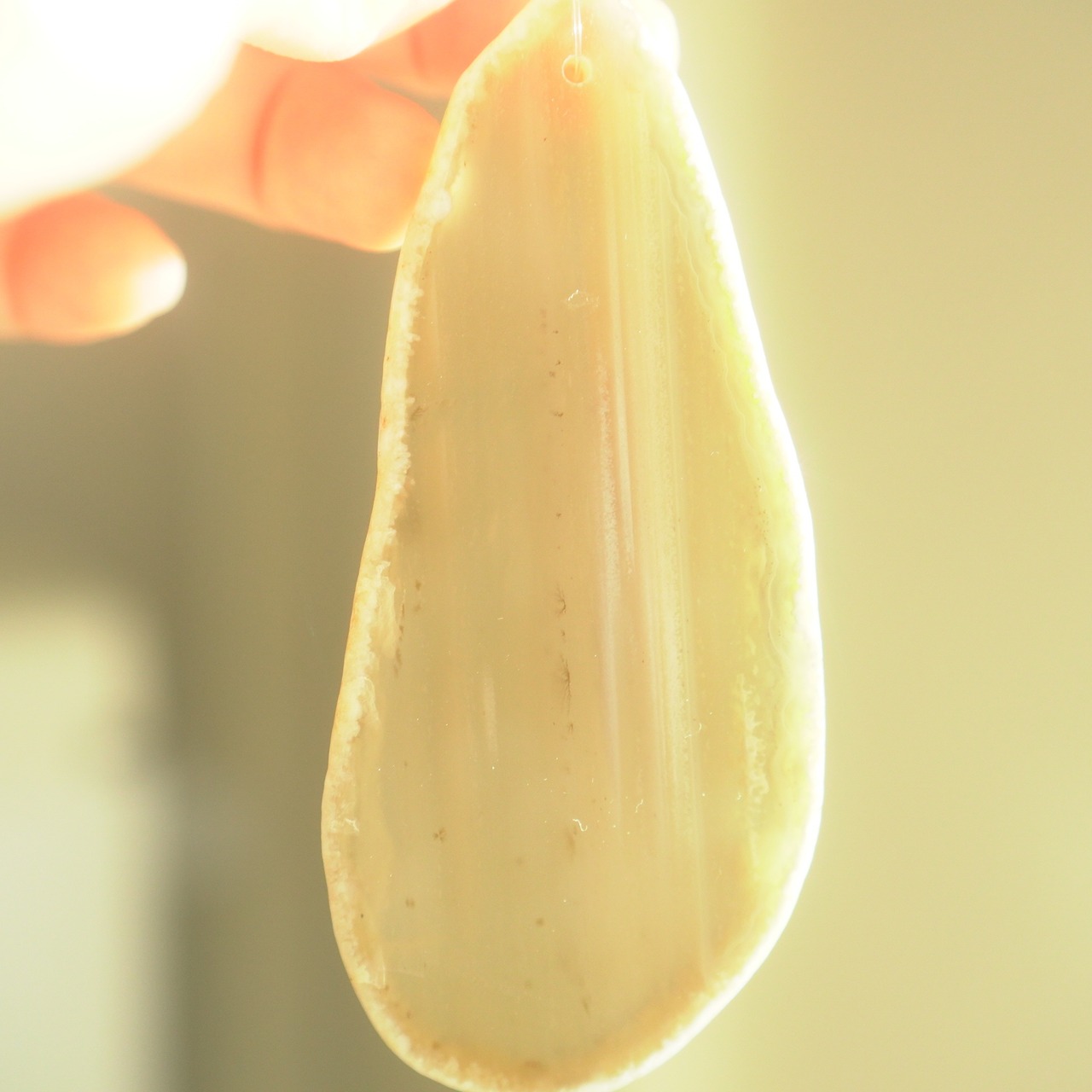 Sea Creatures 06 - アゲートヒーリングチャイム / Agate Healing Chime 1102