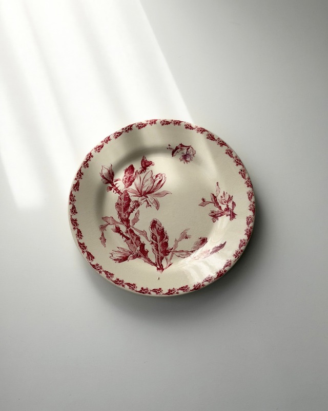 Gien　ジアン　/    “CACTUS”  　サボテンの花の平皿プレート