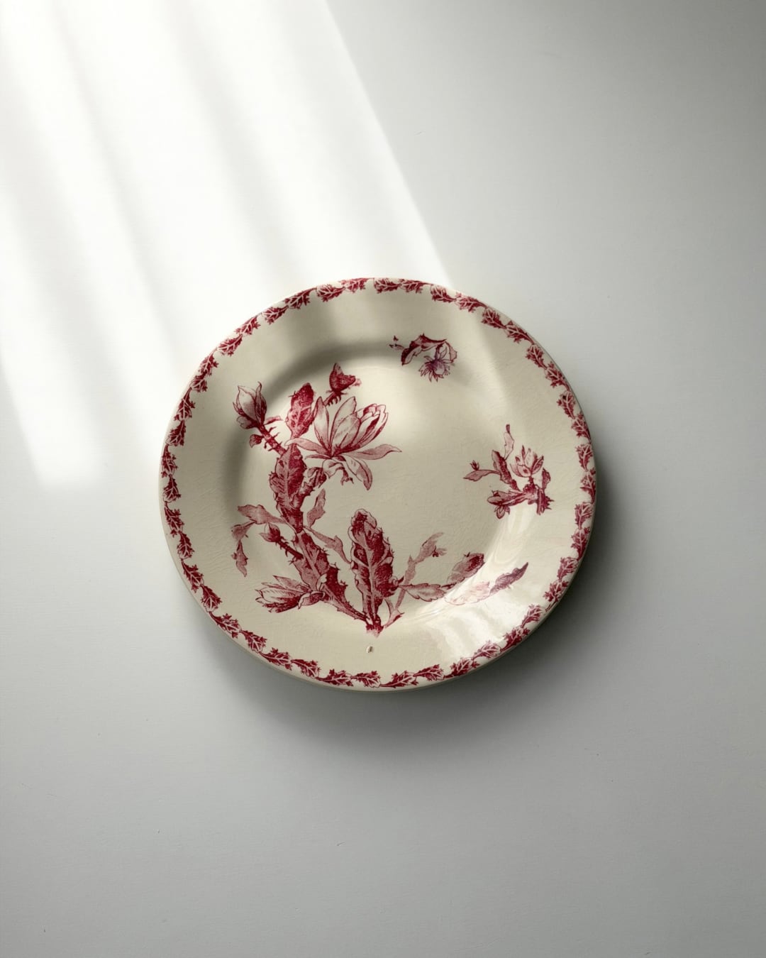 Gien ジアン / “CACTUS” サボテンの花の平皿プレート