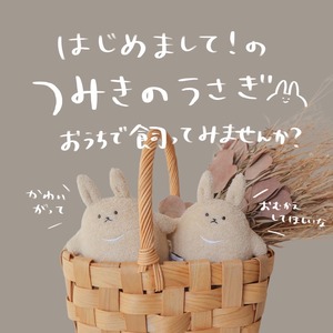 【完売】【巾着つき】いつものつみきのうさぎさん(ゆきみるくティー)