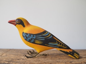 indian bird - song bird