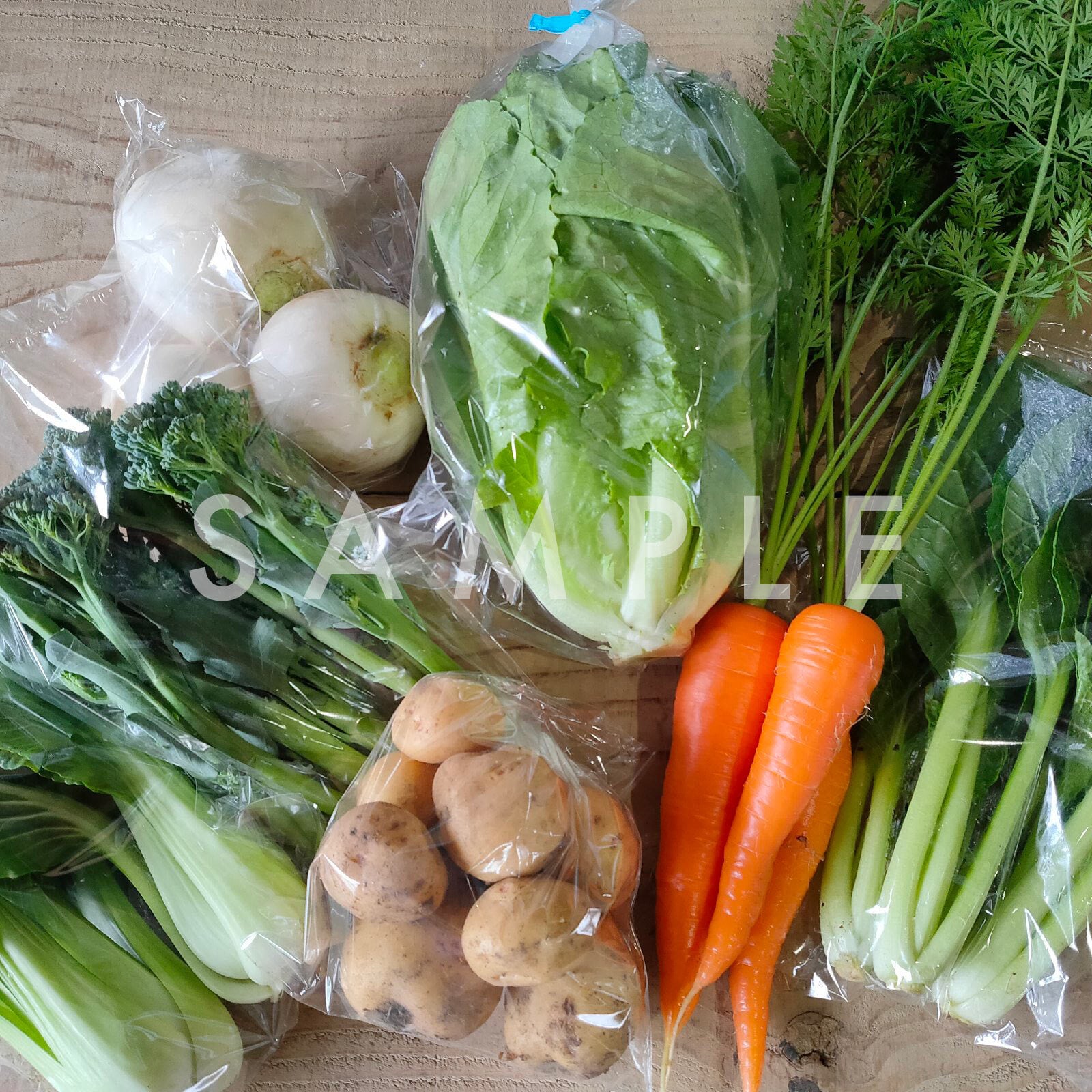 採りたて野菜盛り合わせ10kg | でぶっちょおやじの田舎野農園｜野菜販売