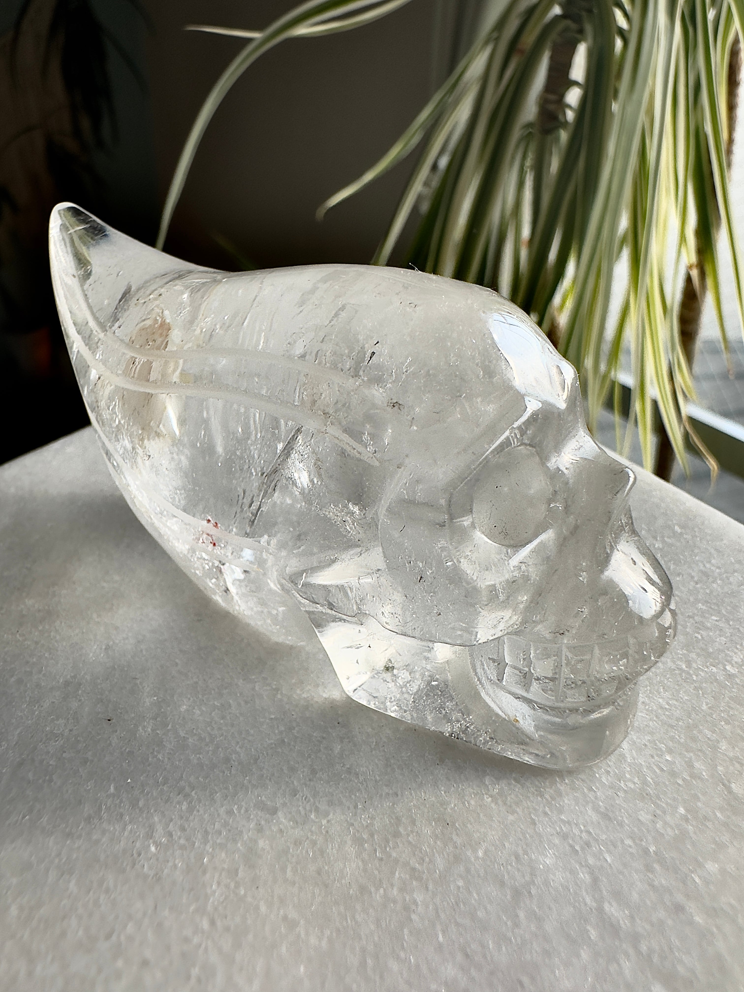 ブラジル産レムリアンシードトラベラースカル