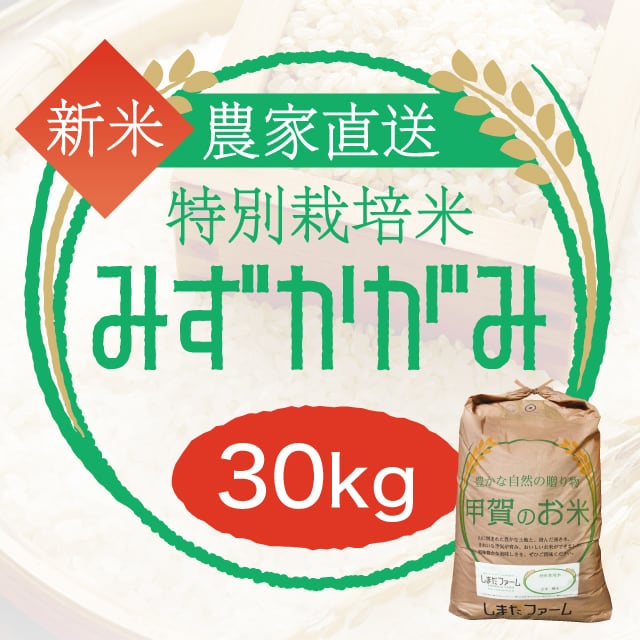 みずかがみ 農家直売・特別栽培米 玄米30kgまたは白米・うまみ白米・無
